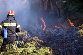 Κινητοποίηση της Πυροσβεστικής για φωτιά κοντά στο Μελισσοχώρι